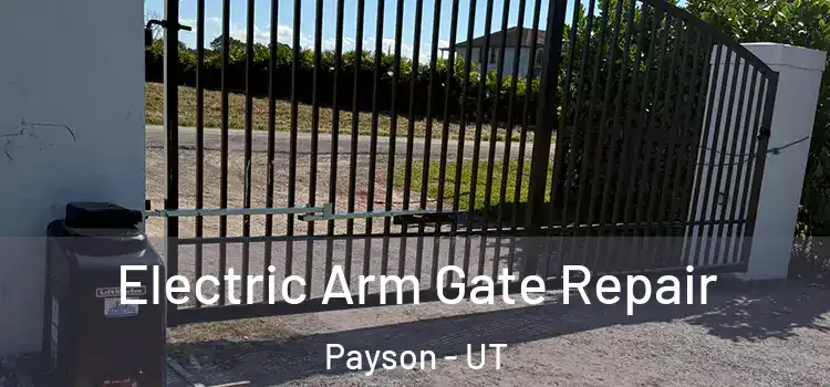 Electric Arm Gate Repair Payson - UT