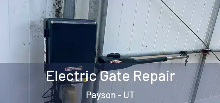  Electric Gate Repair Payson - UT