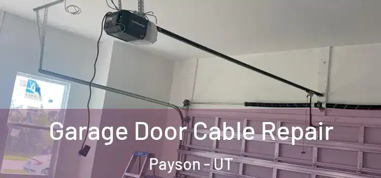  Garage Door Cable Repair Payson - UT