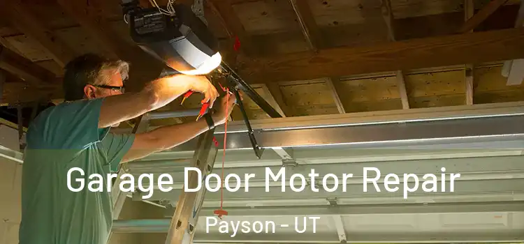  Garage Door Motor Repair Payson - UT