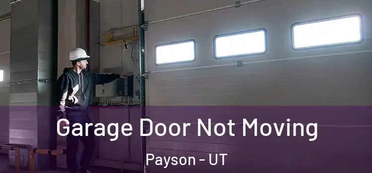  Garage Door Not Moving Payson - UT