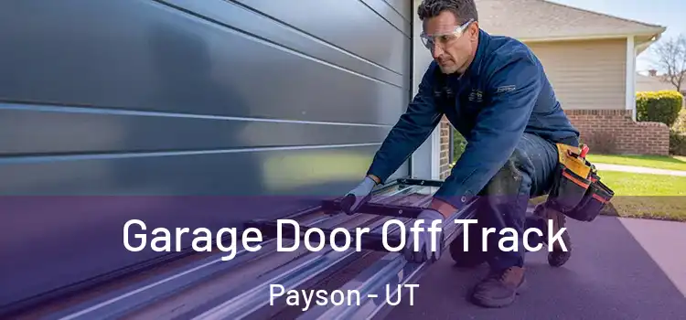  Garage Door Off Track Payson - UT