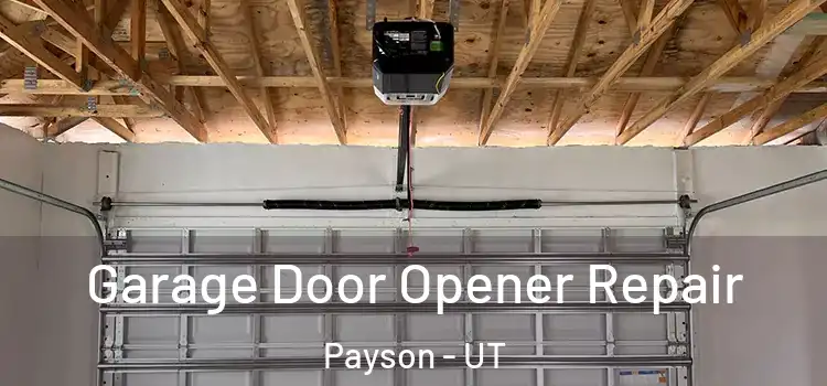  Garage Door Opener Repair Payson - UT