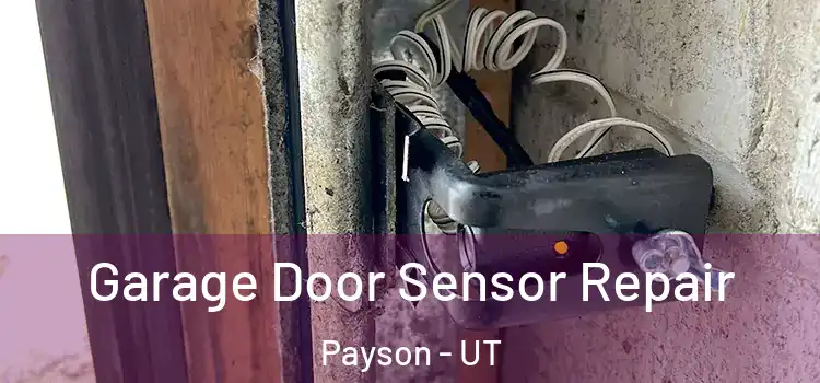 Garage Door Sensor Repair Payson - UT
