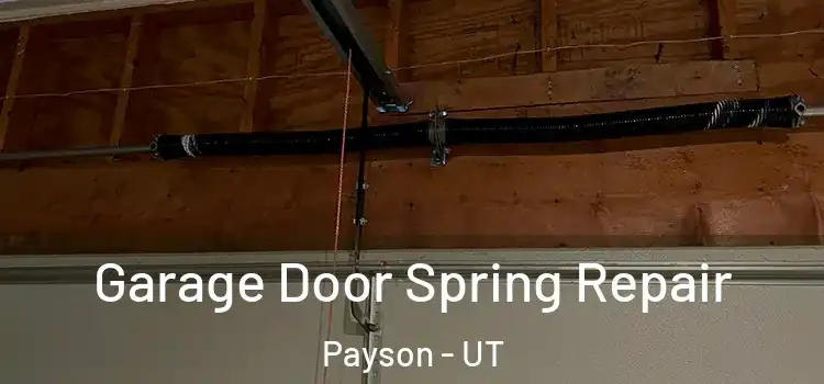  Garage Door Spring Repair Payson - UT