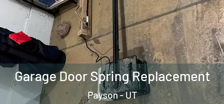  Garage Door Spring Replacement Payson - UT