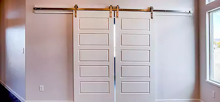 Glass Barn Door with Installation Hardware Kit Payson