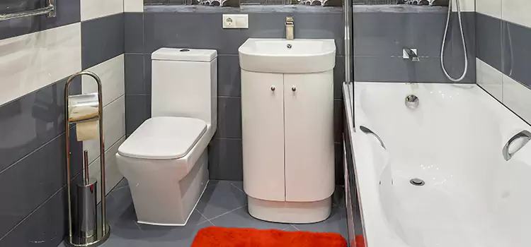 Hansgrohe Shaving Mirror Payson